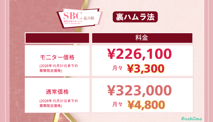 SBC品川クマ取り裏ハムラ法の料金