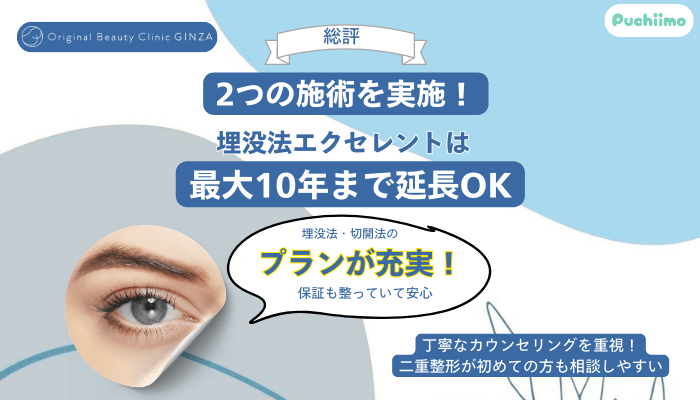 Original-Beauty-Clinic-GINZA二重整形総評