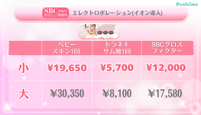 SBCRegno銀座美肌治療エレクトロポレーションイオン導入料金