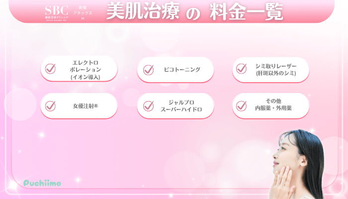 SBC新宿アネックス24美肌治療料金一覧