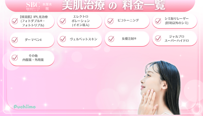 SBC本厚木美肌治療料金一覧