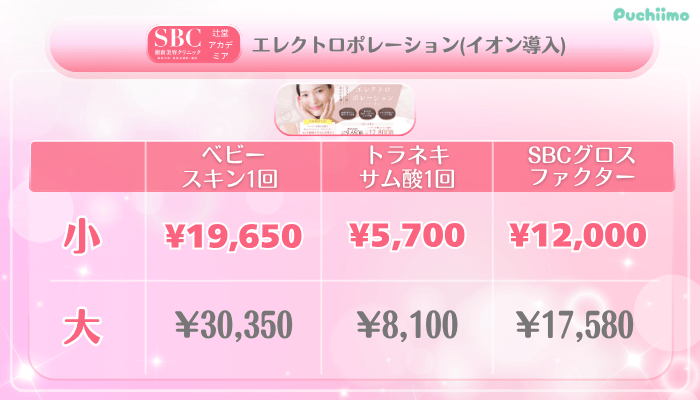SBC辻堂アカデミア美肌治療エレクトロポレーションイオン導入料金