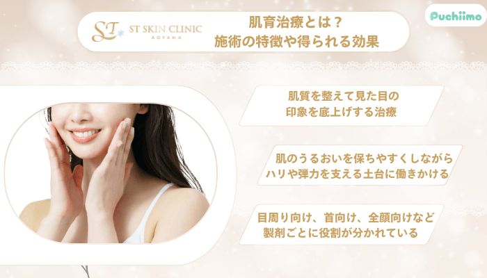 STスキンクリニック青山肌育治療とは