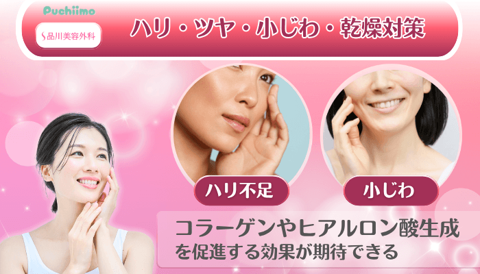 品川美容外科美肌治療ハリ・ツヤ・小じわ・乾燥対策