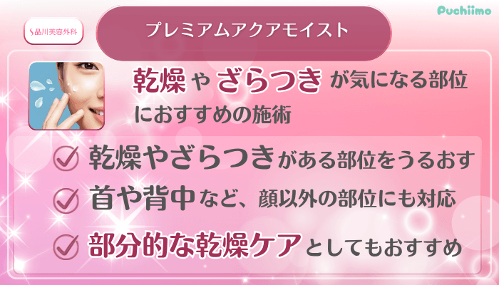 品川美容外科美肌治療プレミアムアクアモイスト