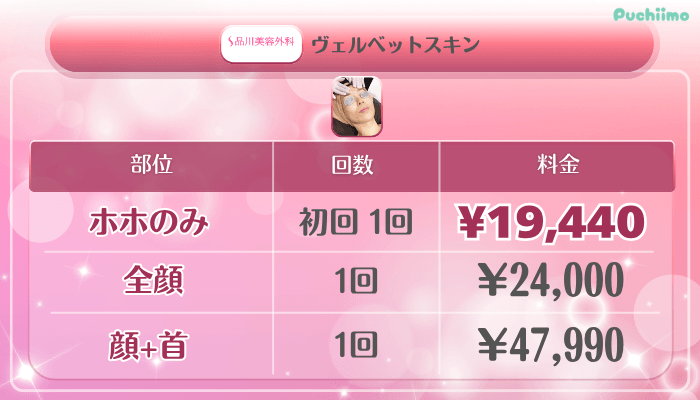 品川美容外科美肌治療ヴェルベットスキン料金