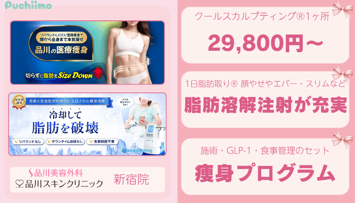 品川グループ新宿医療痩身比較