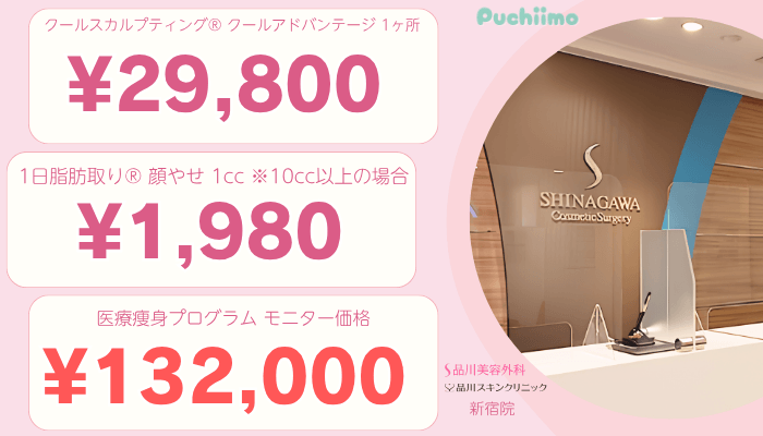 品川グループ新宿医療痩身比較料金