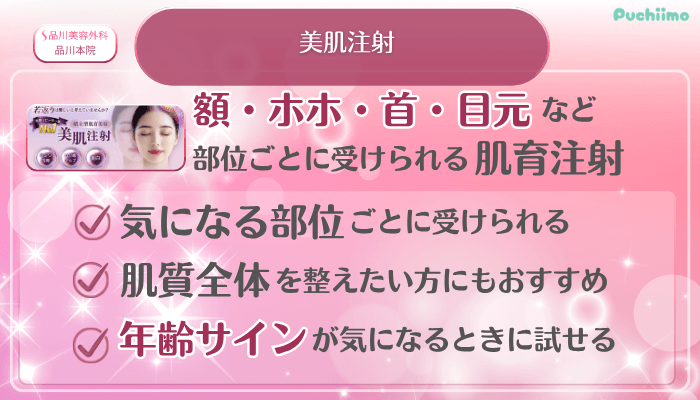 品川美容外科品川美肌治療美肌注射