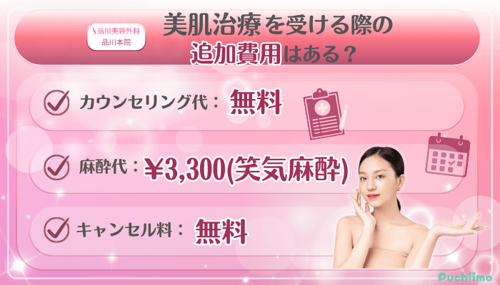 品川美容外科品川美肌治療追加料金