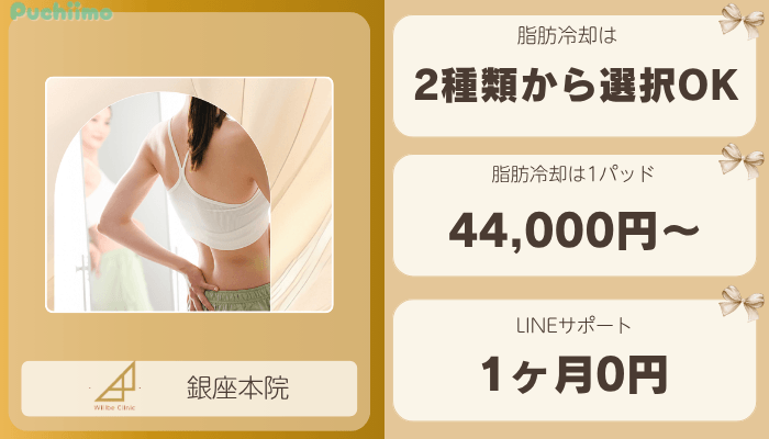 ウィルビークリニック有楽町医療痩身比較