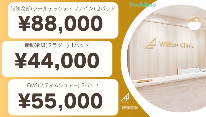 ウィルビークリニック有楽町医療痩身比較料金