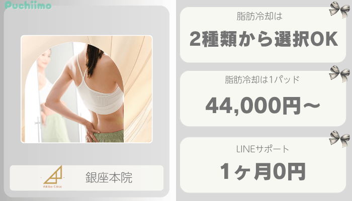 ウィルビークリニック銀座医療痩身比較
