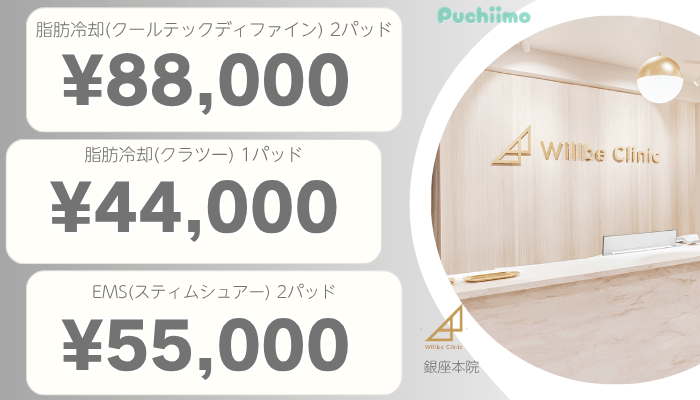 ウィルビークリニック銀座医療痩身比較料金