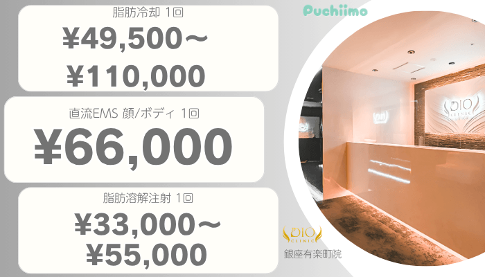 ディオクリニック銀座医療痩身比較料金