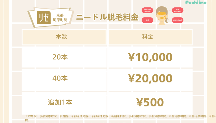 リゼクリニック京都河原町医療脱毛ニードル脱毛料金