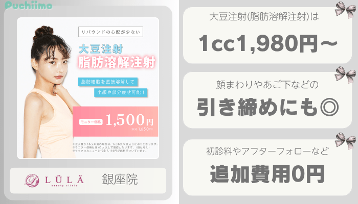 ルラ美容クリニック銀座医療痩身比較
