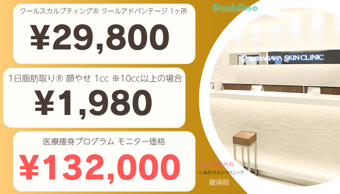 品川グループ有楽町医療痩身比較料金