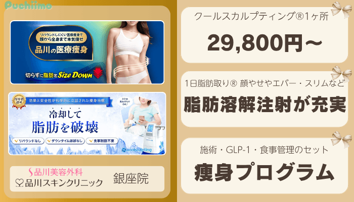 品川グループ有楽町痩身比較