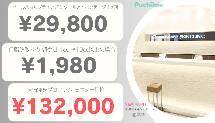 品川グループ銀座医療痩身比較料金