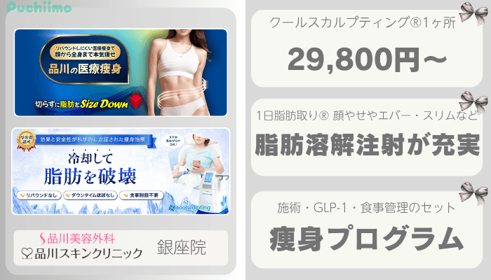 品川グループ銀座痩身比較