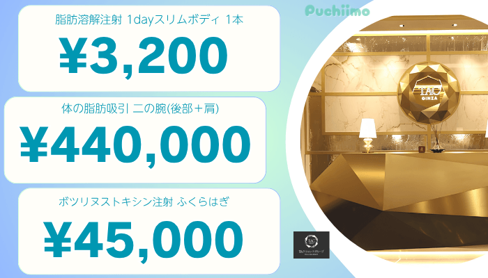 TAクリニック東京医療痩身比較料金