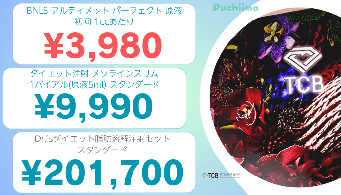 TCB東京医療痩身比較料金