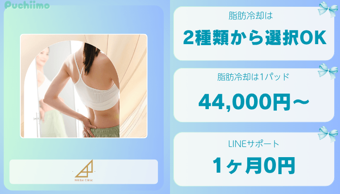ウィルビークリニック東京医療痩身比較