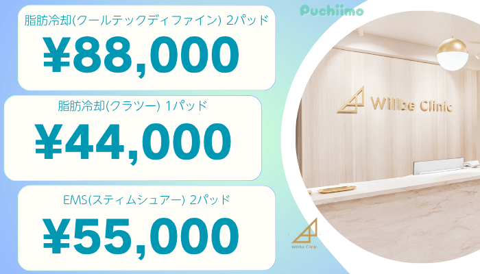 ウィルビークリニック東京医療痩身比較料金