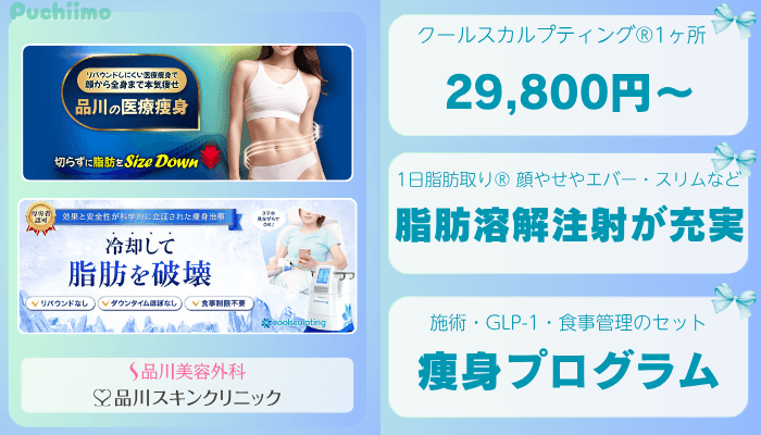 品川グループ東京痩身比較