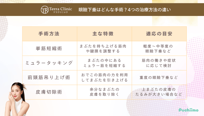 テラクリニック眼瞼下垂4つの治療方法の違い