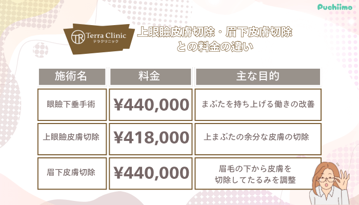 テラクリニック眼瞼下垂上眼瞼皮膚切除・眉下皮膚切除との料金の違い