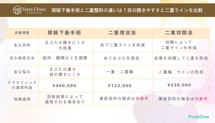 テラクリニック眼瞼下垂目の開きやすさと二重ラインを比較
