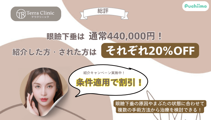テラクリニック眼瞼下垂総評
